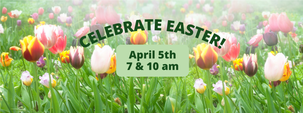 First Presbyterian Church