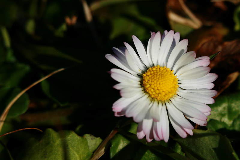 Church of the Resurrection