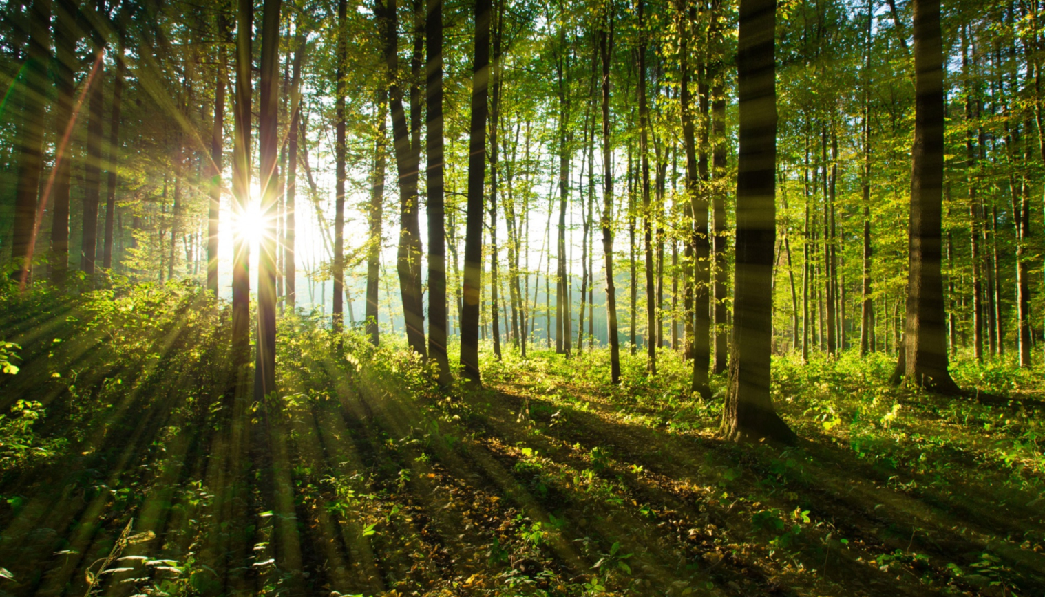 Ridgeview Baptist Church