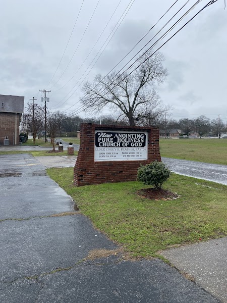 New Anointing Pure Holiness