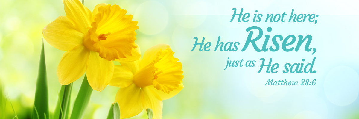 Bible Baptist Church