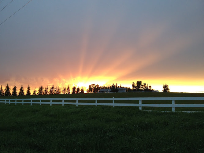 New Beginnings Church International of Calgary