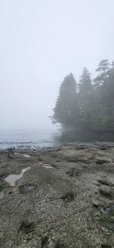 Surrey Alliance Church