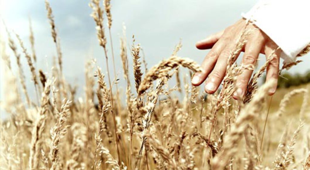 Gloryland Baptist Church