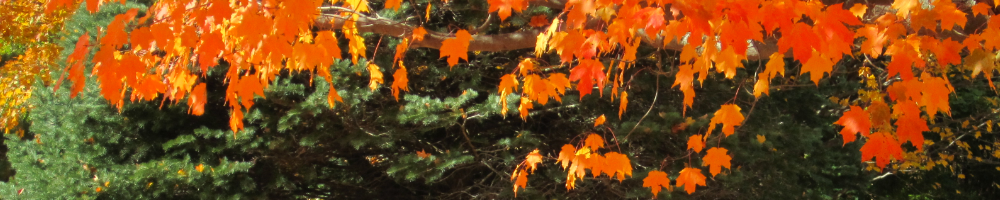 Christian and Missionary Alliance Church