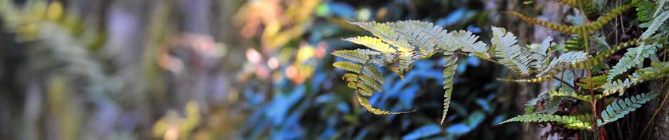 Pottsville United Methodist Church