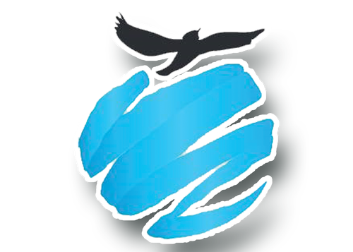 Higher Ground International