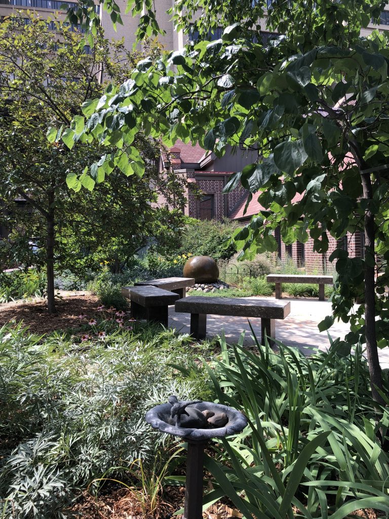 Grace University Lutheran Church (ELCA)