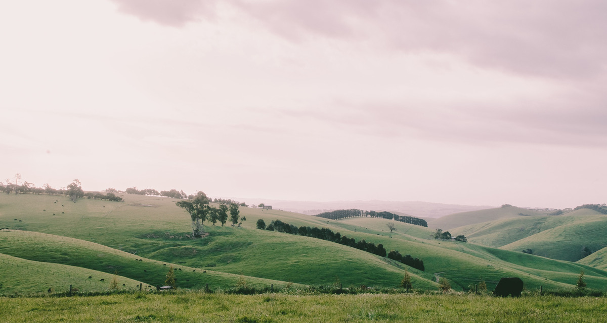 Stone United Methodist Church