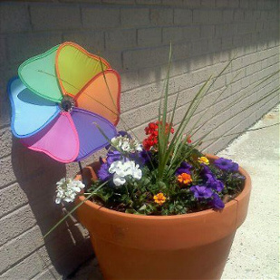 First Baptist Church