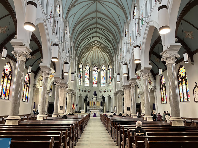 Basilica of Our Lady Immaculate