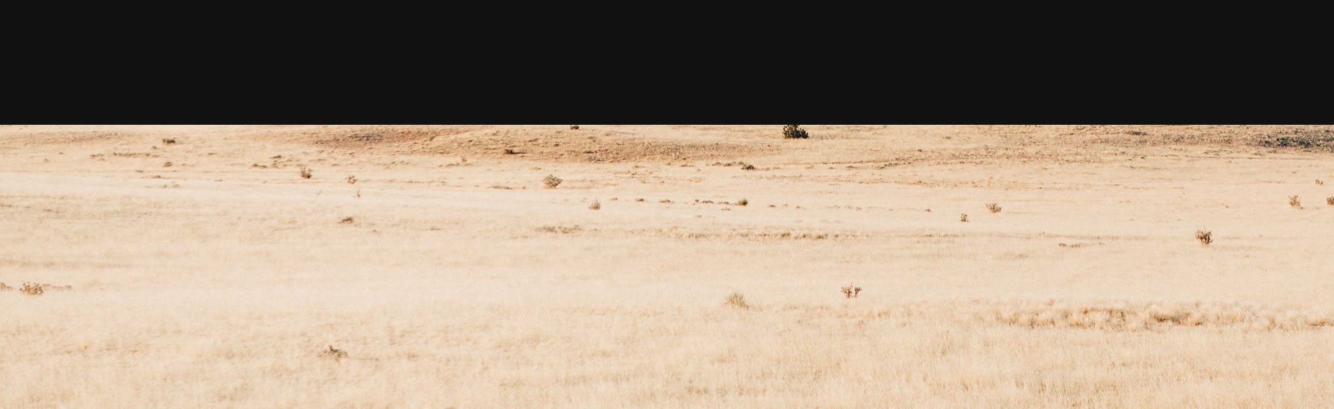 Bruceville-Eddy United Methodist Church