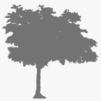 Riddicks Grove Church