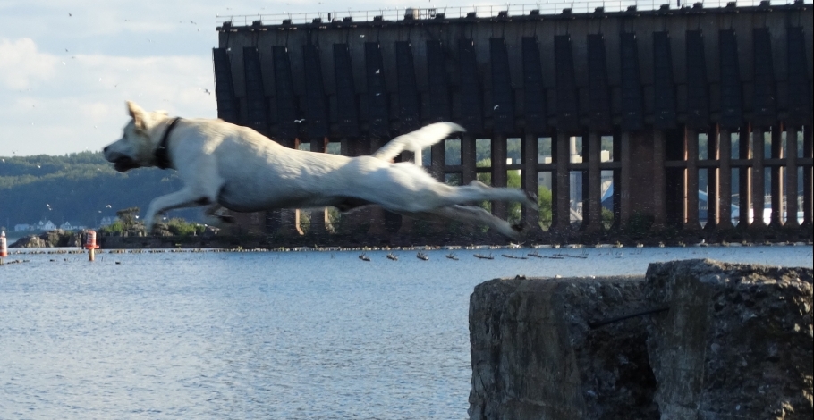 Cornerstone Community Church