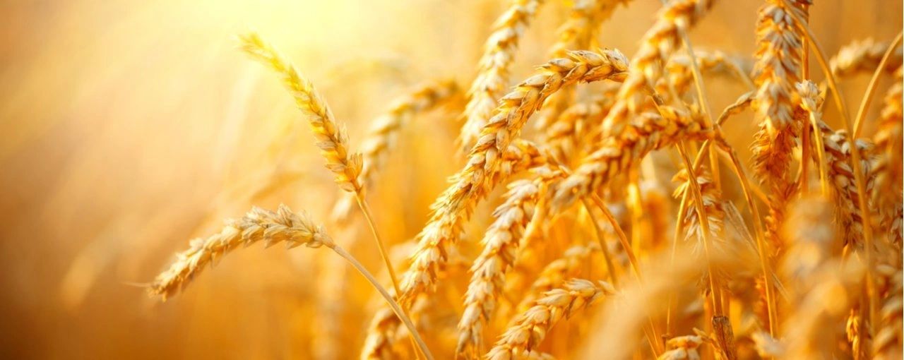 Church in North Providence