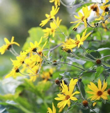 Congers United Methodist Church
