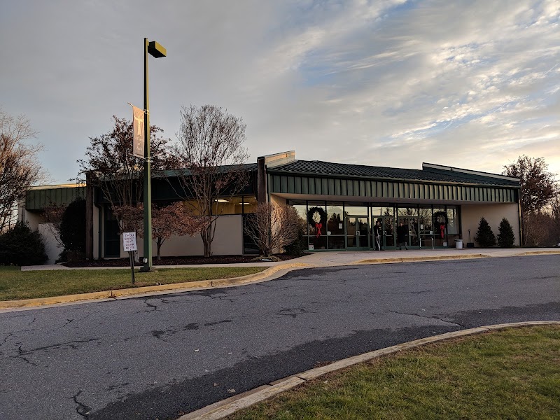 St. Francis of Assisi