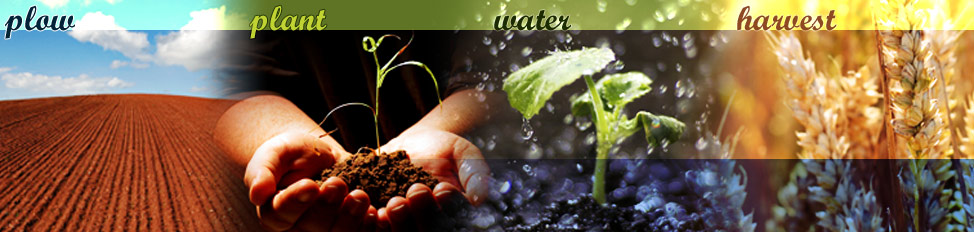 First United Methodist Church