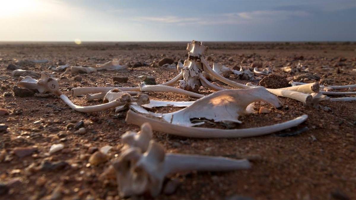 Pleasant Hill Church