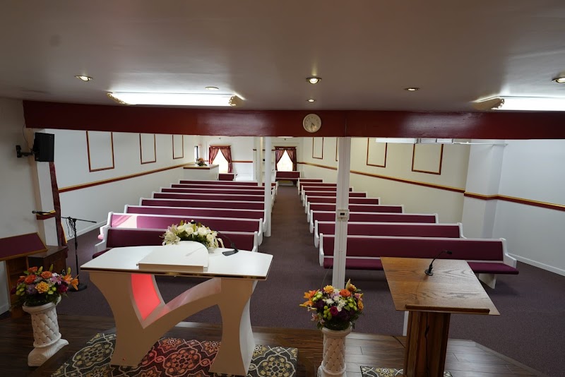 The Light of The World