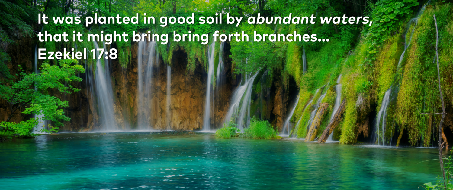 Abundant Waters Fellowship