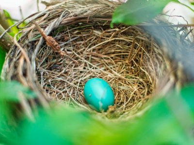 Maple Grove United Methodist Church